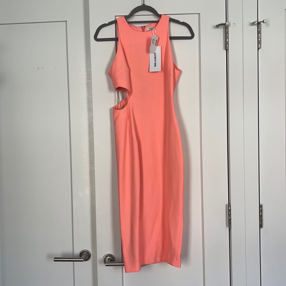 Elizabeth and James Giulia Cut Out Dress